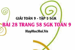 Giải bài 29 trang 59 SGK Toán 9 tập 1